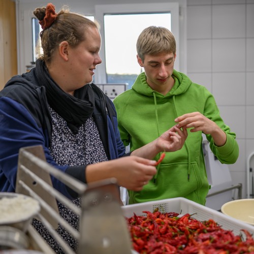 Seya Chili sortieren