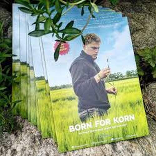 Born for korn 5_cr